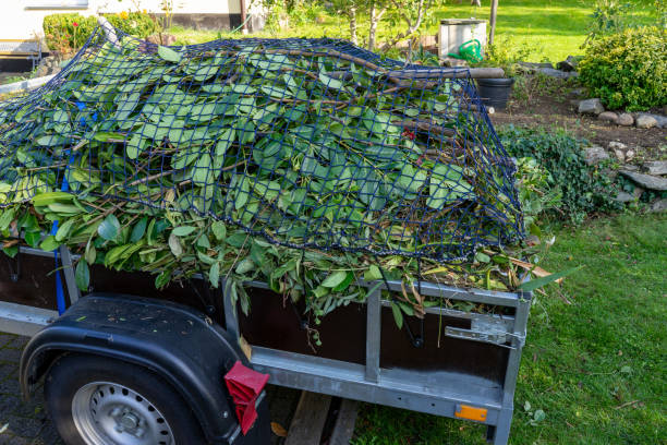 Moving and Downsizing Cleanouts in Lock Haven, PA